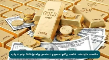مكاسب متواصلة.. الذهب يرتفع للأسبوع السادس ويتجاوز 3800 دولار للأوقية